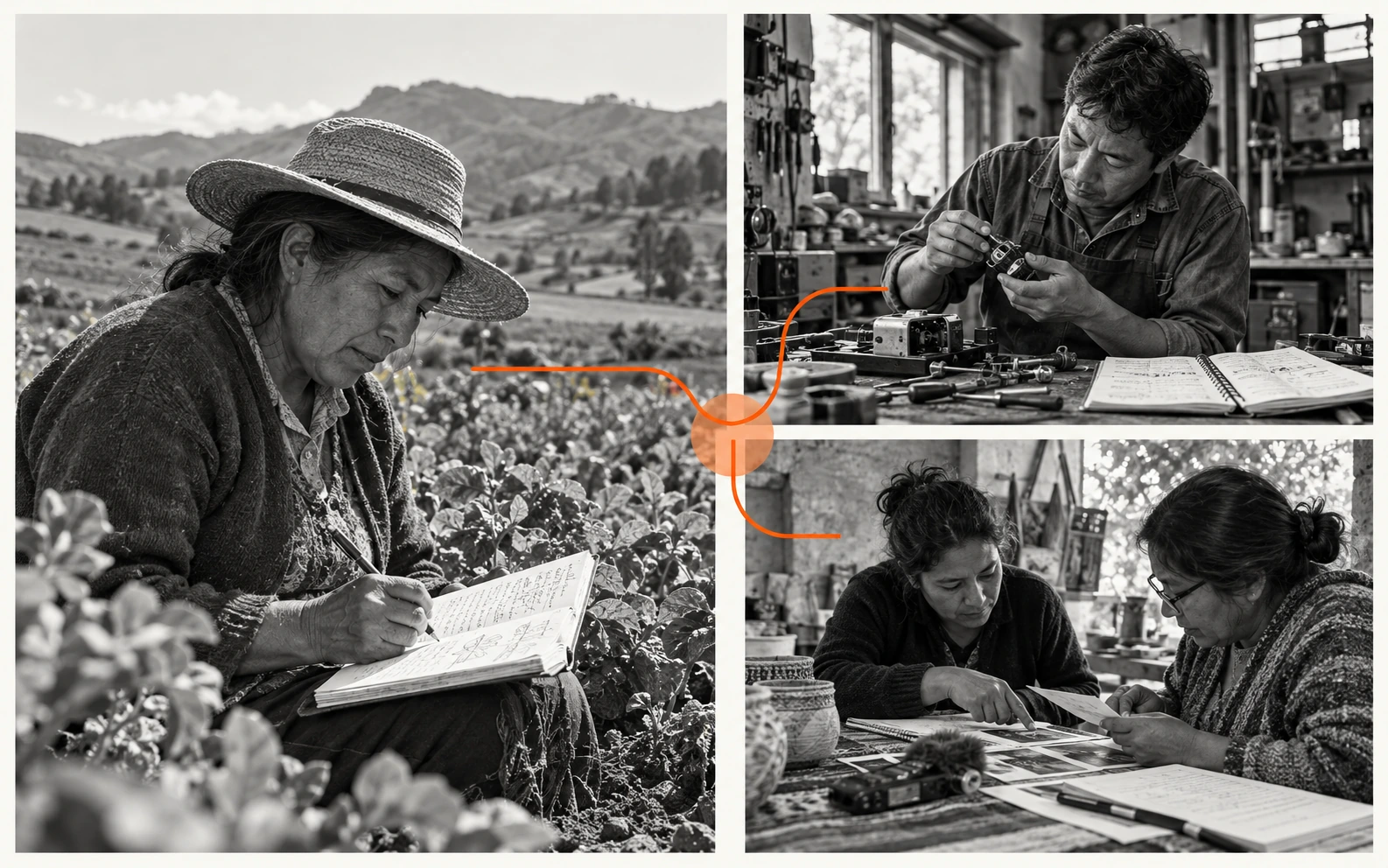 Separate scenes of a grower, a workshop and a collection community linked by an orange line.